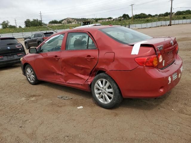 2010 Toyota Corolla Base