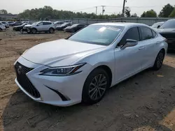 Flood-damaged cars for sale at auction: 2022 Lexus ES 350 Base