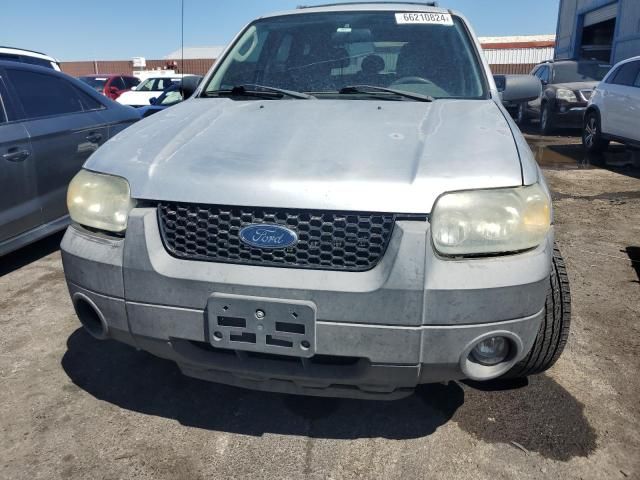 2005 Ford Escape XLT