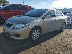 Salvage cars for sale at Albuquerque, NM auction: 2010 Toyota Corolla Base