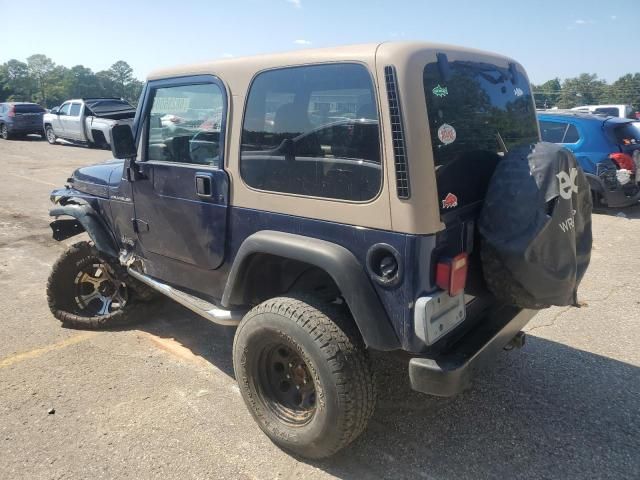 2002 Jeep Wrangler / TJ X