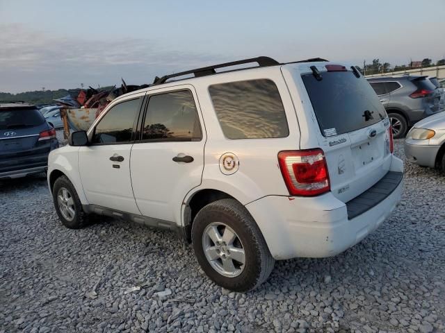 2009 Ford Escape XLT