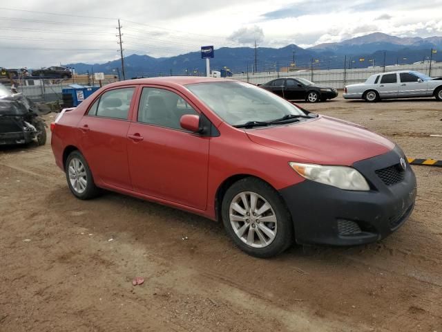 2010 Toyota Corolla Base