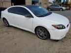 2010 Scion TC