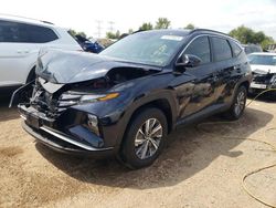 Salvage cars for sale at Elgin, IL auction: 2024 Hyundai Tucson Blue