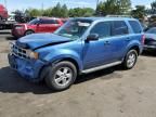 2009 Ford Escape XLT