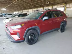 Toyota salvage cars for sale: 2020 Toyota Rav4 LE