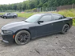 Salvage cars for sale at Baltimore, MD auction: 2016 Dodge Charger SXT