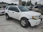 2009 Ford Escape Hybrid