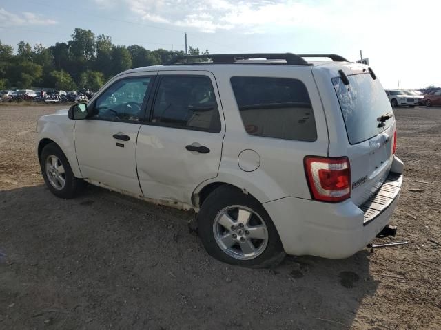 2011 Ford Escape XLT