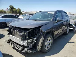 Salvage cars for sale at Martinez, CA auction: 2021 Toyota Rav4 XLE