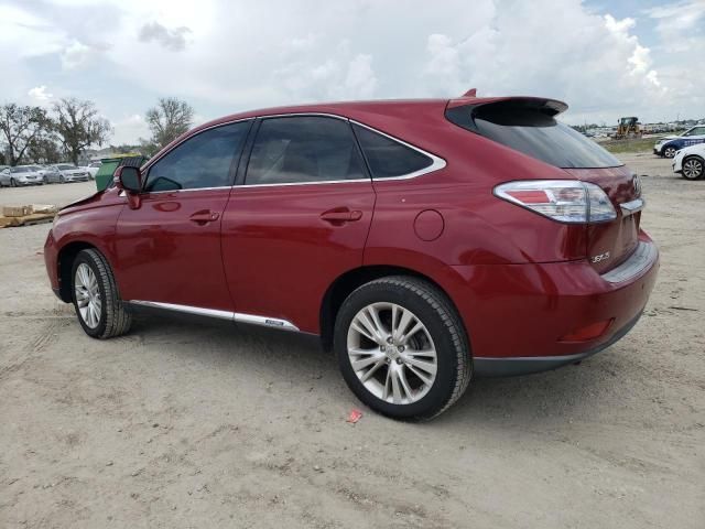 2010 Lexus RX 450