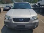 2007 Ford Escape XLT