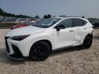 2024 Lexus NX 450H Luxury