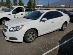 2013 Chevrolet Malibu 1LT en venta en Rancho Cucamonga, CA