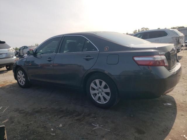 2009 Toyota Camry Hybrid