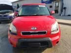 2010 KIA Soul +