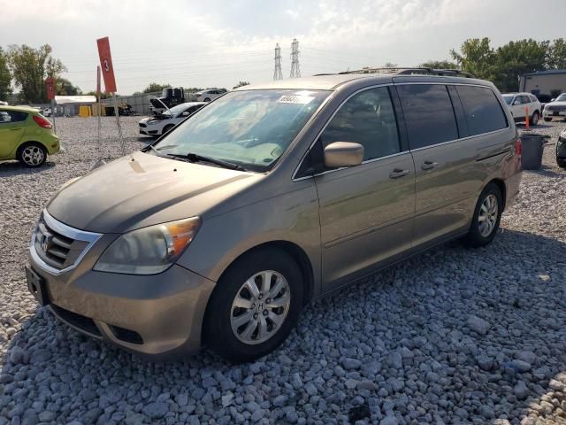 2009 Honda Odyssey EX