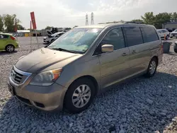 Honda salvage cars for sale: 2009 Honda Odyssey EX