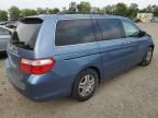 2007 Honda Odyssey EXL