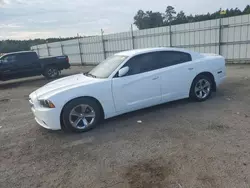 Salvage cars for sale at Harleyville, SC auction: 2013 Dodge Charger SE