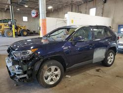 Salvage cars for sale at Blaine, MN auction: 2020 Toyota Rav4 XLE