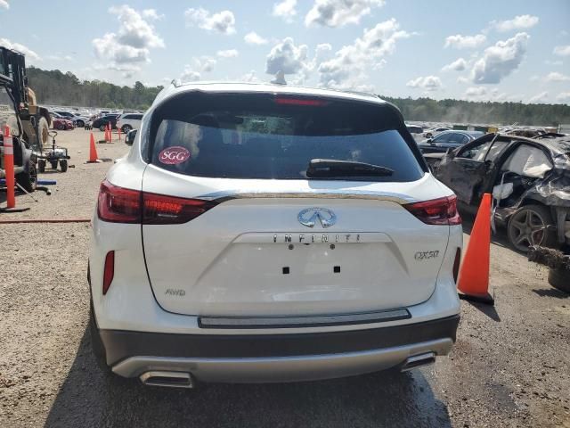 2024 Infiniti QX50 Sensory