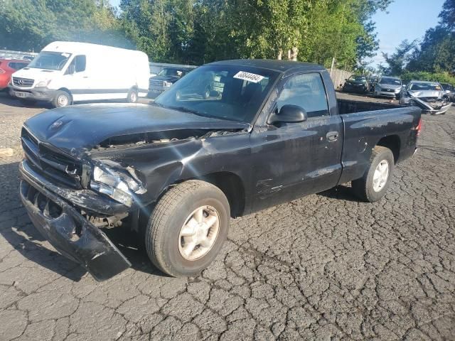 2000 Dodge Dakota