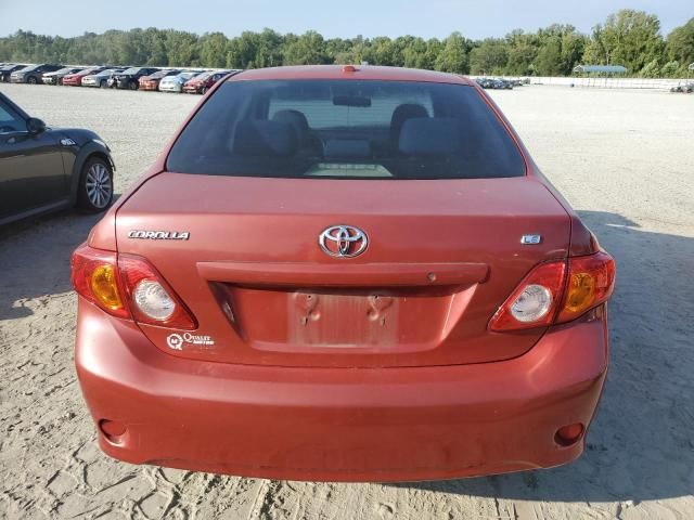 2010 Toyota Corolla Base