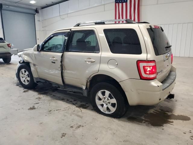 2011 Ford Escape Limited