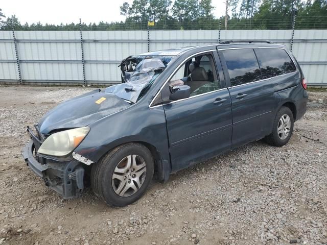 2005 Honda Odyssey EXL