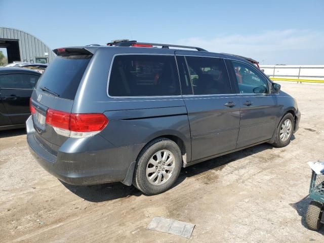 2010 Honda Odyssey EXL