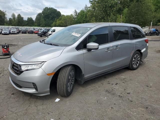 2023 Honda Odyssey EXL