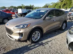 Salvage cars for sale at Arcadia, FL auction: 2020 Ford Escape S