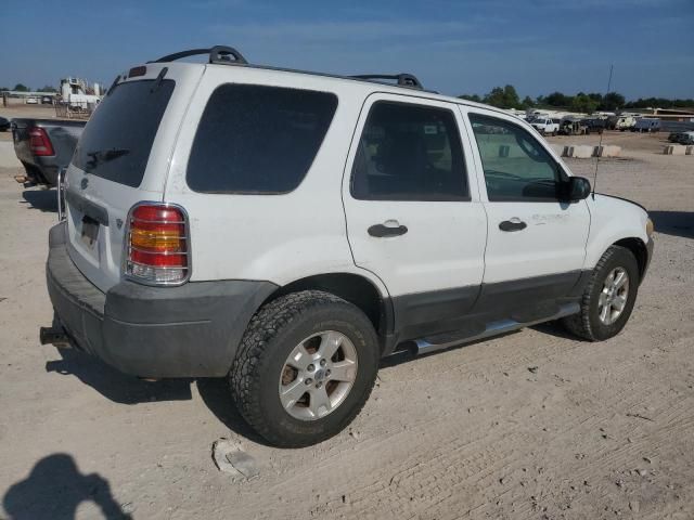 2005 Ford Escape XLT