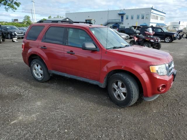 2011 Ford Escape XLT