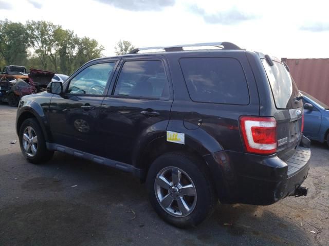 2011 Ford Escape Limited