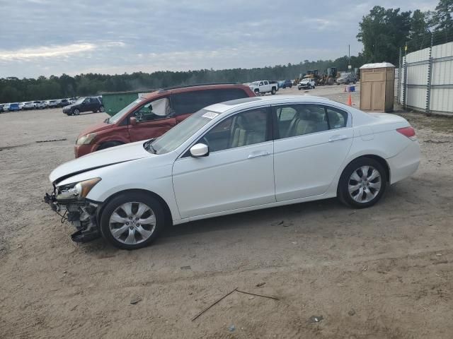 2008 Honda Accord EXL