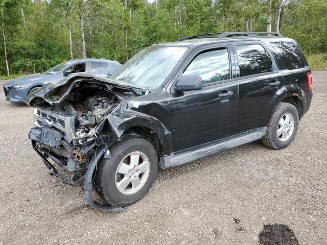 2011 Ford Escape XLT