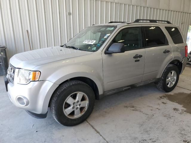 2009 Ford Escape XLT