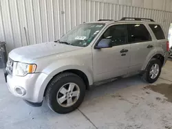 Vehiculos salvage en venta de Copart Franklin, WI: 2009 Ford Escape XLT