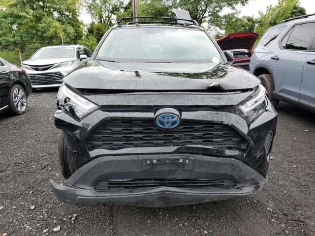 2023 Toyota Rav4 XLE