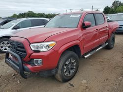 Toyota salvage cars for sale: 2019 Toyota Tacoma Double Cab