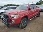 2019 Toyota Tacoma Double Cab