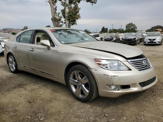 2010 Lexus LS 460