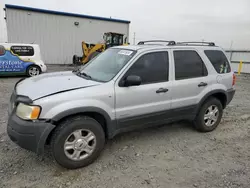 Ford salvage cars for sale: 2002 Ford Escape XLT