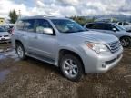 2010 Lexus GX 460 Premium