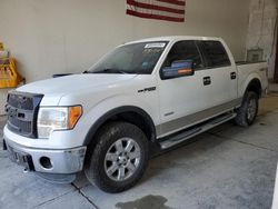 Salvage cars for sale at Greenwood, NE auction: 2013 Ford F150 Supercrew