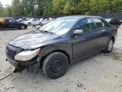 Toyota Vehiculos salvage en venta: 2010 Toyota Corolla Base