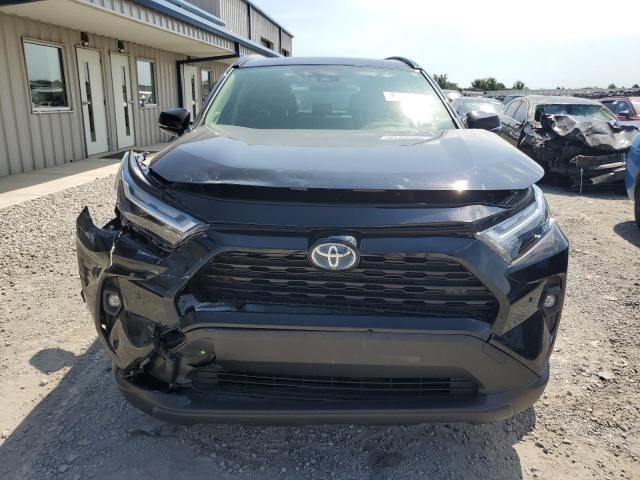 2024 Toyota Rav4 XLE Premium